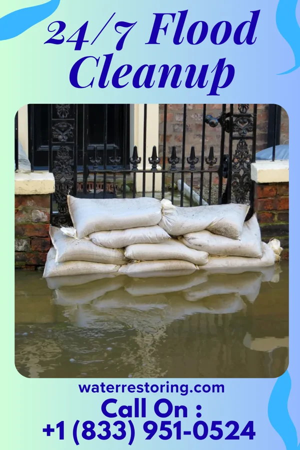 24/7 Flood Cleanup in Meadow Grove, NE