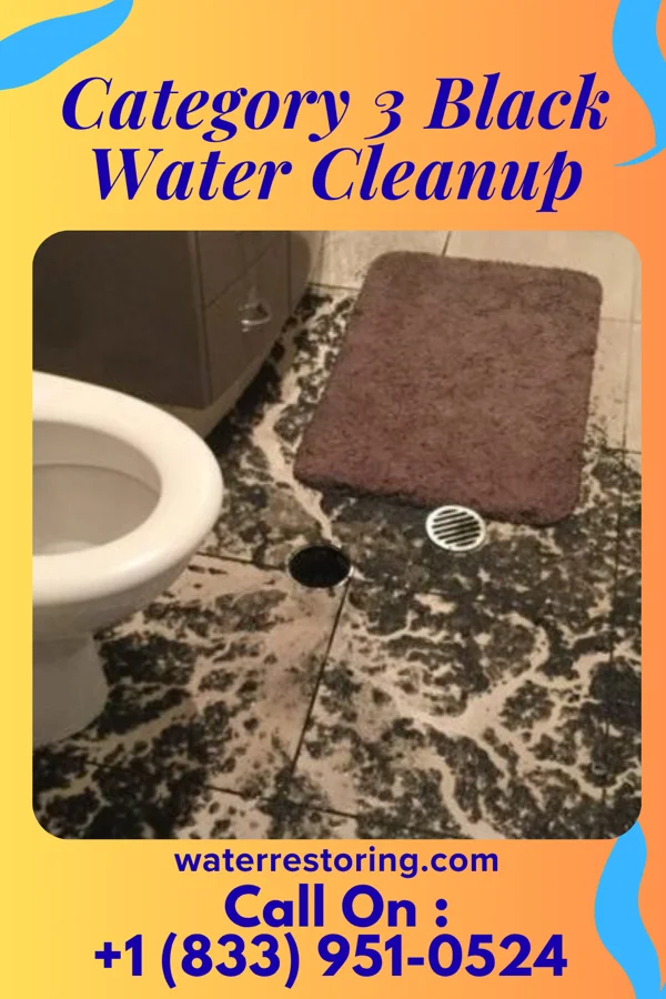 Category 3 Black Water Cleanup in Meadow Grove, NE