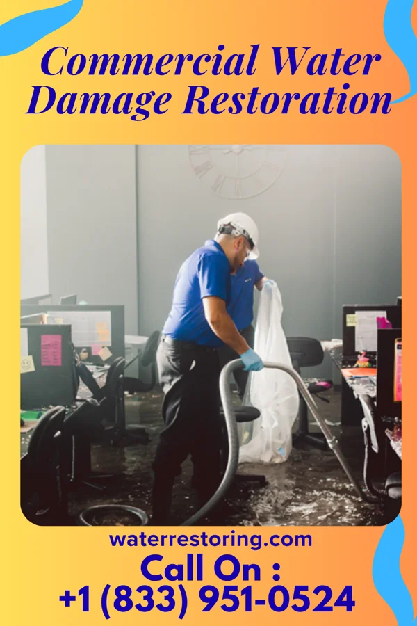 Commercial Water Damage Restoration in Meadow Grove, NE