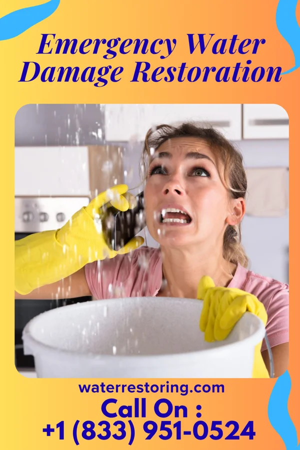 Emergency Water Damage Restoration in Meadow Grove, NE