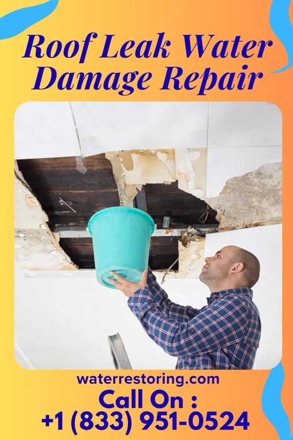 Roof Leak Water Damage Repair in Meadow Grove, NE